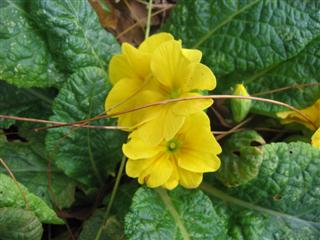 IMG_2142 (Custom).JPG