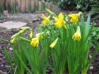 IMG_3185 (Custom).JPG