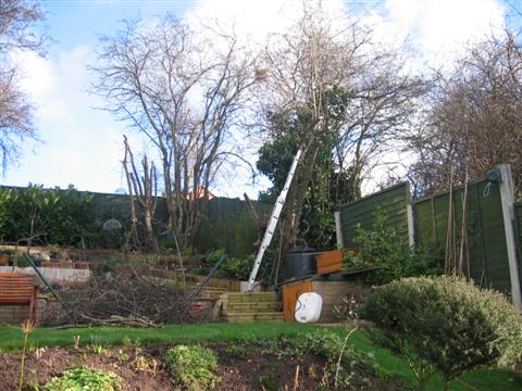 IMG_2991 (Custom).JPG