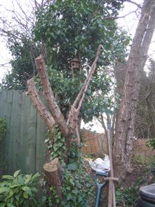 IMG_2996 (Custom).JPG