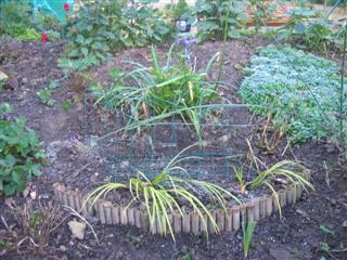 IMG_1952 (Custom).JPG