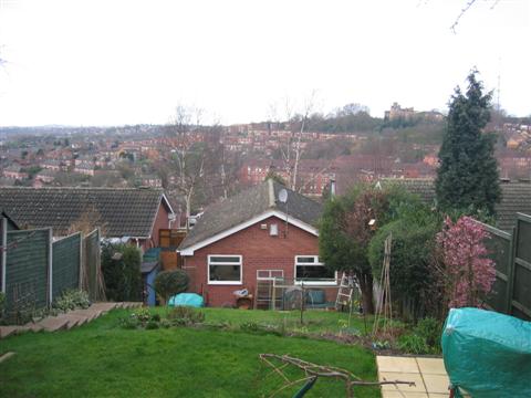 IMG_3224 (Custom).JPG