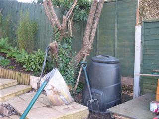 IMG_3069 (Custom).JPG