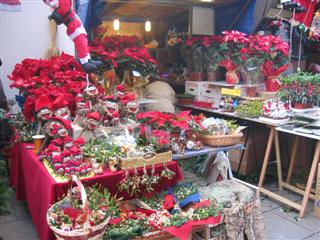 IMG_2411 (Custom).JPG