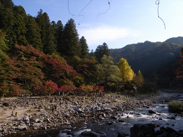 R0011050.jpg