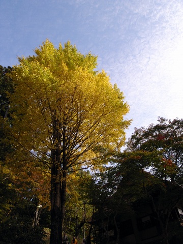 R0011070.jpg