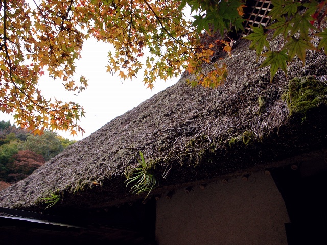 R0011083.jpg