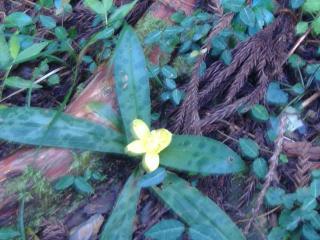 DSCF2168.jpg