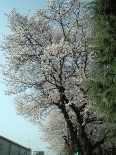 2011-04-16 21:59:03