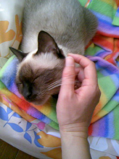 ママの手大好き