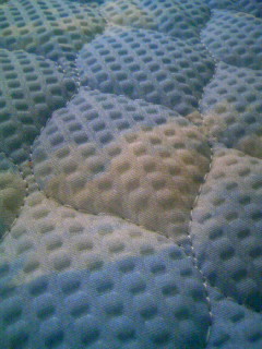 080709_080017.JPG