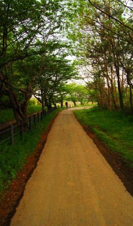 動物園の帰り道