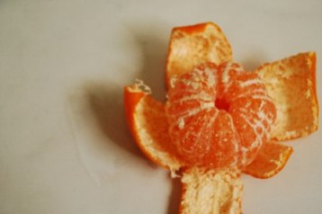 日の丸　千両　みかん　アフター