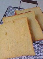 ﾊﾟﾝﾌﾟｷﾝ食ﾊﾟﾝ