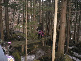 P1090031.jpg
