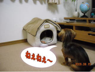 asobo2.jpg