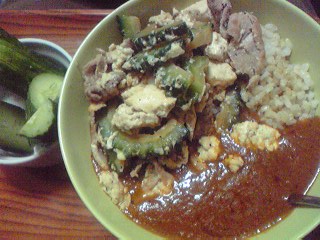 ゴーヤチャンプルカレーとか.jpg