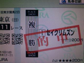 セイクリムズン複勝馬券.jpg