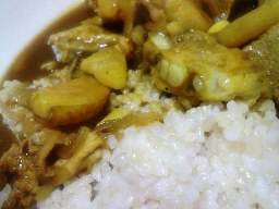 豚軟骨カレー.jpg