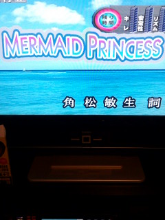 Marmaid Princess.jpg