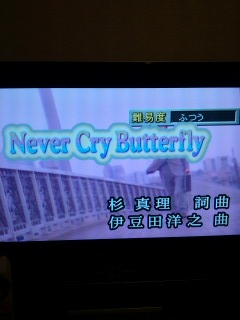 Never cry butterfly.jpg