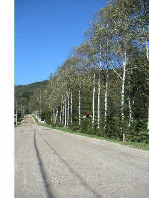 Pict1002.jpg