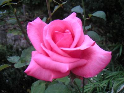 PICT3375.JPG