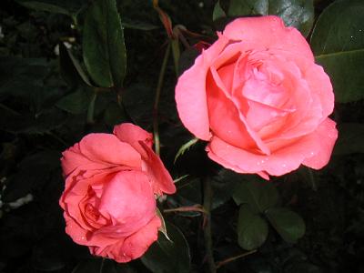 PICT3377.JPG