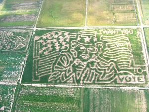 Uncle Sam Maze6.JPG