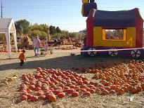 Pumpkin Patch Oct 28,2006 011a.JPG