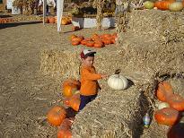 Pumpkin Patch Oct 28,2006 018a.JPG