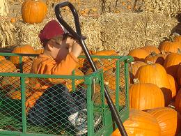 Pumpkin Patch Oct 28,2006 065a.JPG