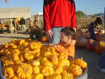 Pumpkin Patch Oct 28,2006 083a.JPG