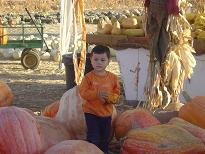 Pumpkin Patch Oct 28,2006 084a.JPG