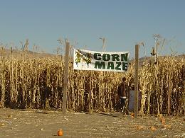 Pumpkin Patch Oct 28,2006a.JPG