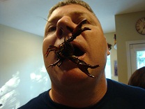 Crawfish 10.jpg