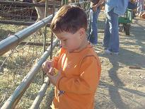 Pumpkin Patch Oct 28,2006 080a.JPG