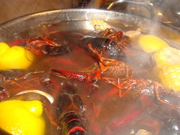 Crawfish 4.jpg