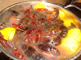 Crawfish 7.jpg