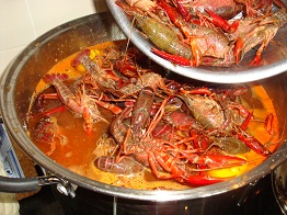 Crawfish 31Lbs 4.jpg