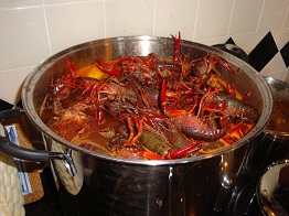 Crawfish 31Lbs 5.jpg