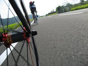 IMG_1494.JPG