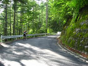 IMG_3484.JPG