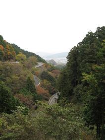 IMG_2076.JPG