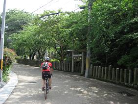IMG_0017.JPG