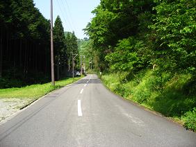 IMG_0532.JPG