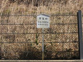 IMG_0059.JPG
