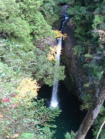 IMG_3845.JPG