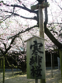 IMGP1160.JPG