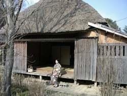 IMGP1168.JPG
